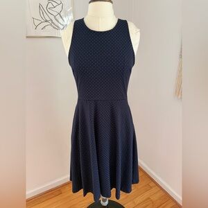 Banana Republic Navy Blue Polka Dot Dress
